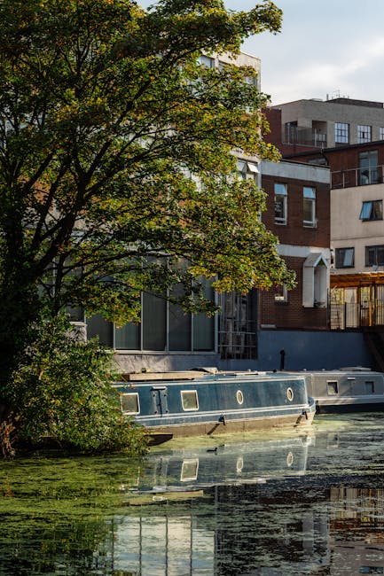 A canal-side scene featuring a narrowboat moored alongside a modern residential building with large windows and a balcony, partially hidden behind a leafy tree with green foliage. The water reflects t