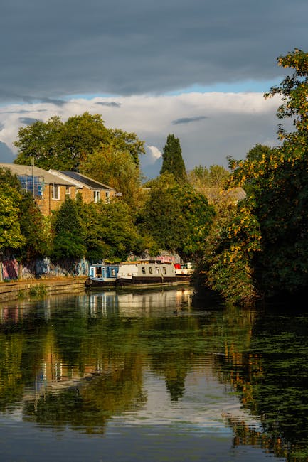 A canal-side scene featuring a narrowboat moored alongside a modern residential building with large windows and a balcony, partially hidden behind a leafy tree with green foliage. The water reflects t