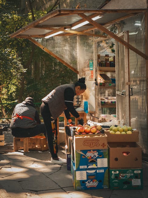 A man with grey hair and a dark jacket is seen inside a market stall, surrounded by an array of fresh vegetables and produce. He is wearing a glove on one hand and is reaching out to pick or arrange items, indicating a packing or handling process. The display shelves are wooden and curved, holding various vegetables such as carrots, tomatoes, courgettes, beetroot, garlic, and other root vegetables, with some wrapped in plastic. Behind him, larger amounts of garlic, onions, and squash are stacked on tiered shelves, suggesting a busy food market setting. The environment is well-lit, with natural and artificial lighting illuminating the vibrant produce and the surrounding shopfront, which features teal-colored framing. This scene may be used to depict packing, loading, or moving processes relevant to house or shop removal services, such as those offered by Man and Van Stepney, in preparation for relocation or transportation of goods.